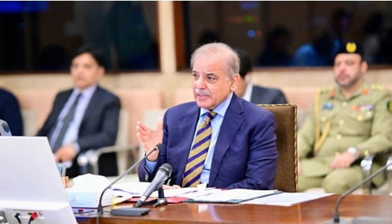 سیلاب متاثرین کے اگست کے بجلی کے بل معاف، وزیراعظم شہباز شریف کا بڑا اعلان