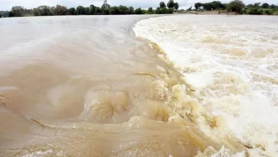 پنجاب میں دریائے ستلج