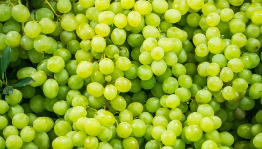 انگور کھانے کے صحت بخش فوائد